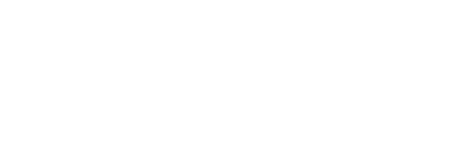 Citrix Preferred Services Partner